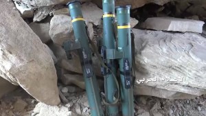 حرس الحدود الربوعة عسير (21)