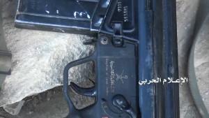 حرس الحدود الربوعة عسير (6)