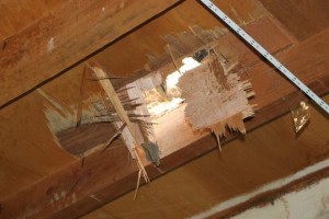 قنابل عنقودية - صنعاء (11)