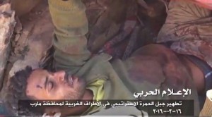 تحرير جبال الحمرة مارب (3)