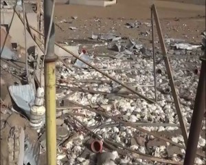 استهداف مزرعة دجاج في سنحان (5)