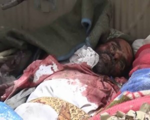 11423348_1436800259960346_646298482_n