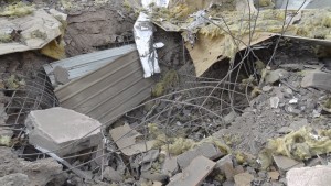 11698846_917226125008437_384218237646859796_o