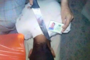 11703339_1069688879731394_8192719679071555774_n