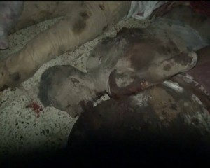 شهداء مدينة المهندسين المخا (11)