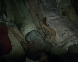 شهداء مدينة المهندسين المخا (7)