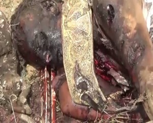 صور استهداف العدوان مسافرين في شدا و رازح (6)