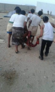 مجزرة العدوان عبس حجة مصنع تعبئة المياه (9)