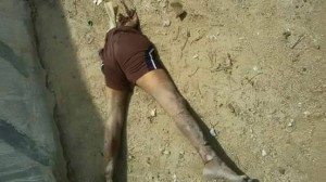 11201191_870870109632869_4376355121013982359_n