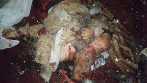 11989158_1462252850748420_1587232049_o