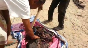 12003975_1676493609304127_3667754417370451267_n