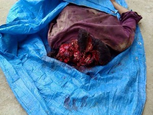 12027697_870869232966290_2492195865734956459_n