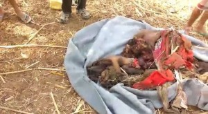 12032144_1676493619304126_5797665552870341962_n