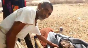 12032201_1676493615970793_4236018928000955350_n