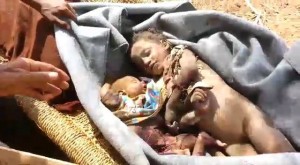 12038477_1676493685970786_7012863212168640775_n