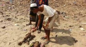 12043081_1676493572637464_3789862722588101105_n