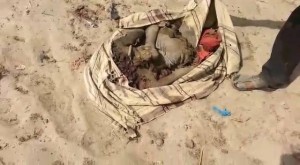 12049163_1676493612637460_2755997813560574239_n