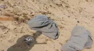 12049277_1676493602637461_62120355491375254_n