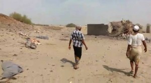 12049544_1676493562637465_6196959502802955387_n