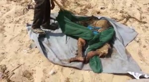 12072757_1676493549304133_2000842394222288143_n