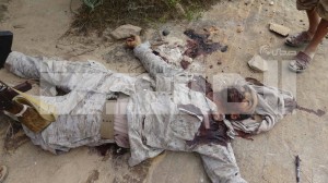 قتلى الجيش السعودي الربوعة عسير