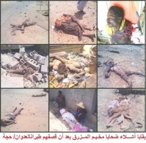 12074486_1677745399178948_265571577418372732_n