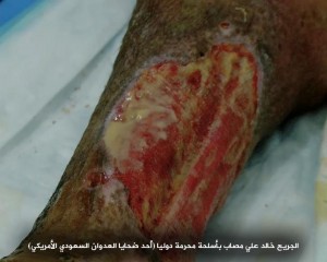 12179592_1477140532592985_1881181255_n