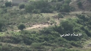 12366057_1490014487972256_1856465708792783013_o