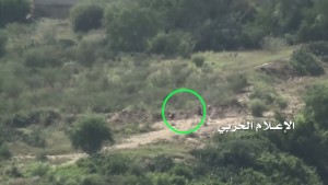 1496216_1490014424638929_5417505565973392_o