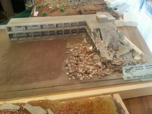 12540230_1496994373940934_282328931_n