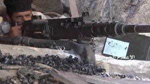 حرس الحدود الربوعة عسير (16)