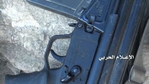 حرس الحدود الربوعة عسير (17)