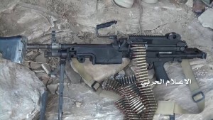 حرس الحدود الربوعة عسير (7)