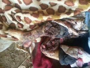 شهداء غارة للعدوان على مستشفى اطباء بلا حدود صعدة 1