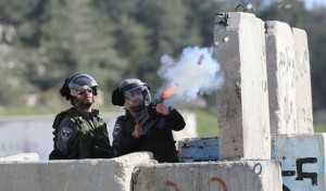 afd0f644-70b8-498f-b17a-f4d0b13062a6