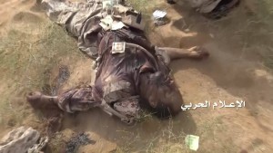 تحرير صحراء ميدي (24)