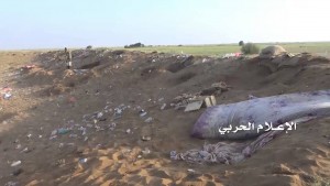 تحرير صحراء ميدي بالكامل10