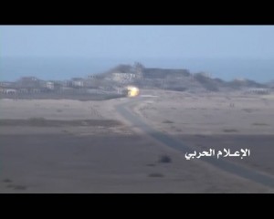 ذوباب (11)