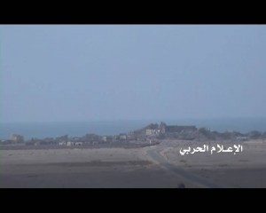 ذوباب (13)