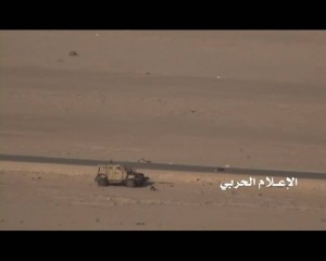 ذوباب (14)