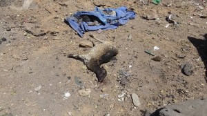 مجزرة العدوان-سوق نهم (3)