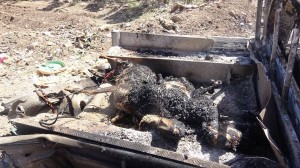 مجزرة العدوان-سوق نهم (5)