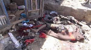 مجزرة العدوان-سوق نهم (8)