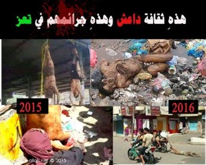 12801286_1136419273058248_4320311793461321161_n