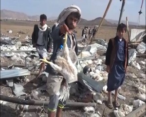 استهداف مزرعة دجاج في سنحان (6)