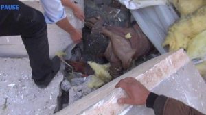 %d9%85%d8%ac%d8%b2%d8%b1%d8%a9-%d8%a7%d9%84%d8%b9%d8%b2%d8%a7%d8%a1-%d9%81%d9%8a-%d8%a7%d9%84%d8%b5%d8%a7%d9%84%d8%a9-%d8%a7%d9%84%d9%83%d8%a8%d8%b1%d9%8913